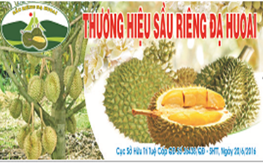 Sầu riêng